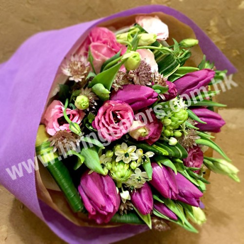 Purple Tulip Bouquet in nice packing (10pcs)